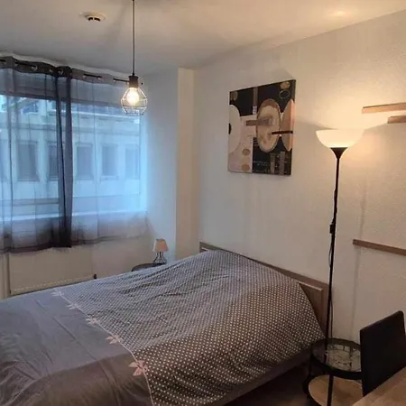 Nouveau !! Appartement Confortable Totalement Renove Avec Parking Gratuit - Hypercentre De Nancy Exterior photo