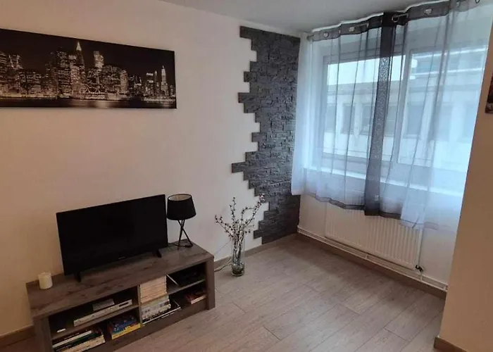 Nouveau !! Appartement Confortable Totalement Renove Avec Parking Gratuit - Hypercentre De Nancy