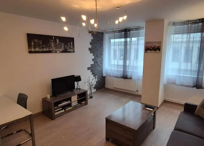 Nouveau !! Appartement Confortable Totalement Renove Avec Parking Gratuit - Hypercentre De Nancy