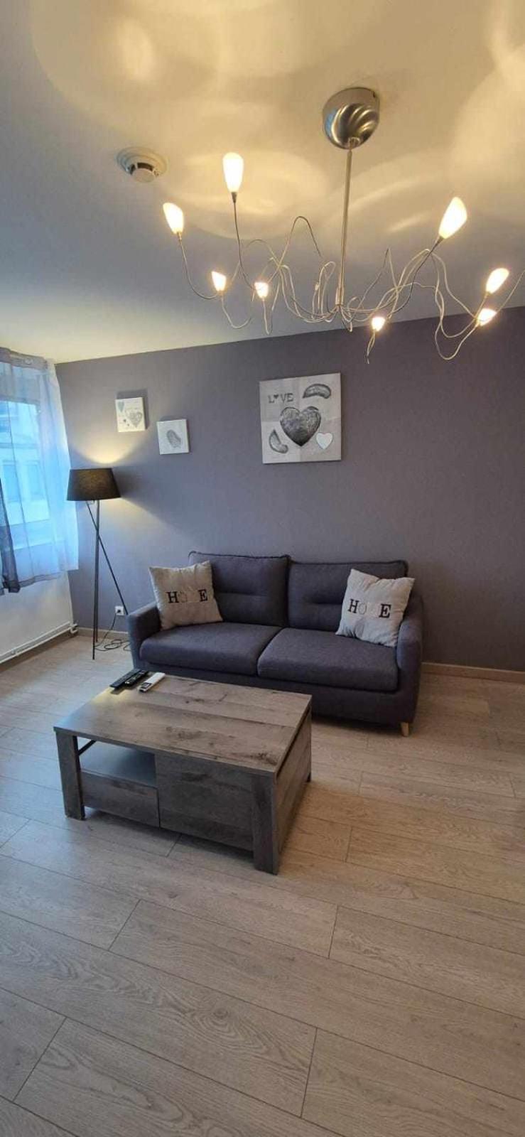 Apartment Nouveau !! Confortable Totalement Renove Avec Parking Gratuit - Hypercentre De *